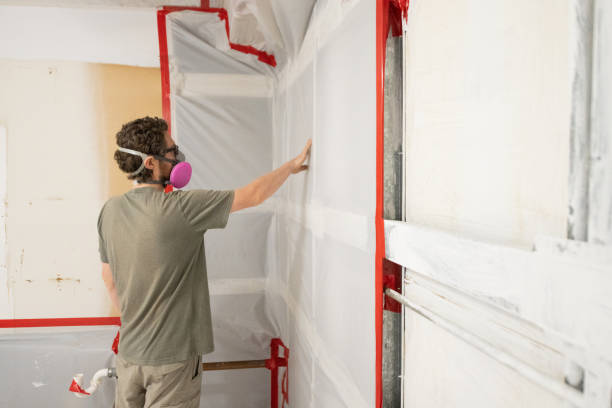 Professional Mold Removal in West Pelzer, SC