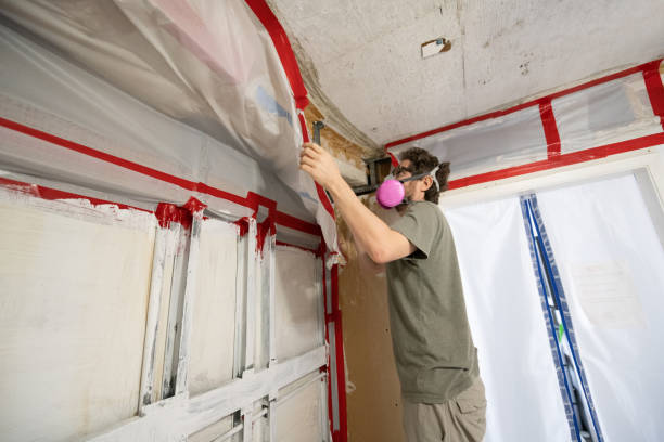 Best Attic Mold Removal  in West Pelzer, SC