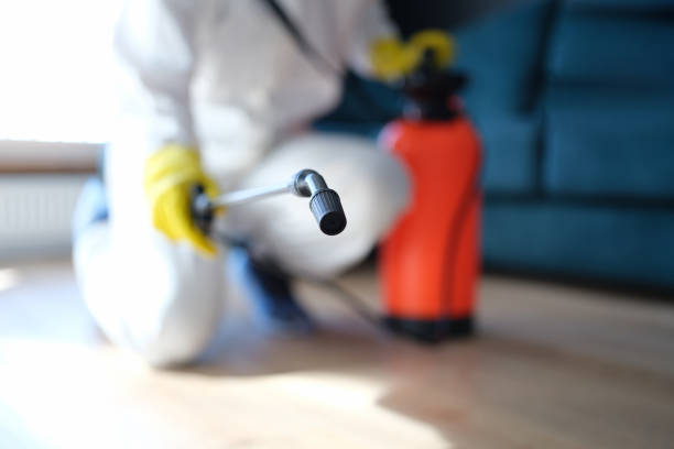 Best Post-Construction Mold Inspection  in West Pelzer, SC
