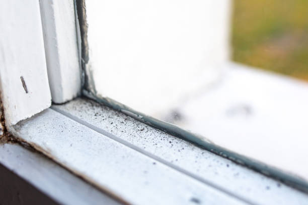 Best Mold Removal for HVAC Installations  in West Pelzer, SC